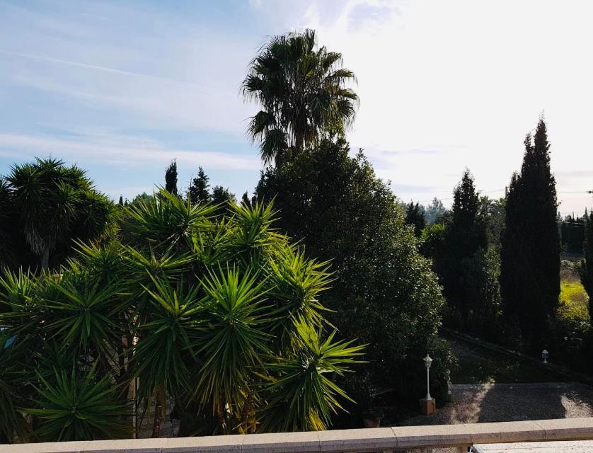 Finca Randa, Llucmayor, Bis 3 Sz, Pool, Garten Llucmajor (Mallorca) Exterior foto
